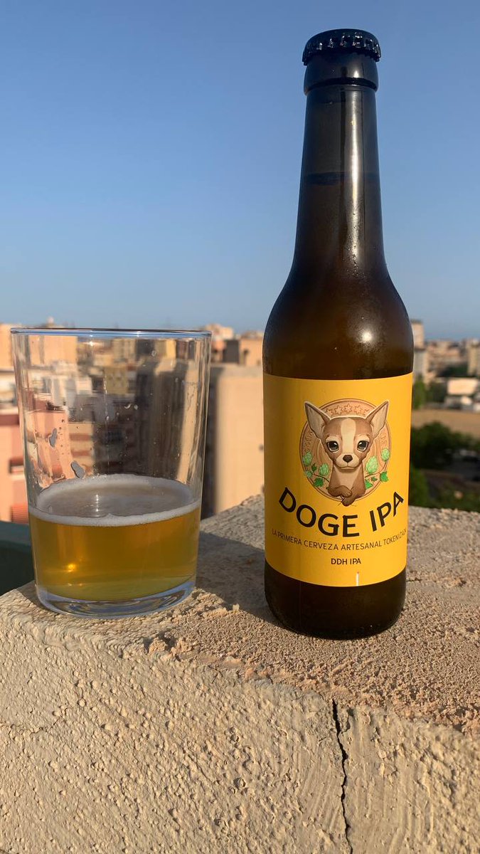 soylatiapaca's tweet photo. @CryptoGemsPump For me is #dogeipa 🍻 https://t.co/1PrR65Cuzo