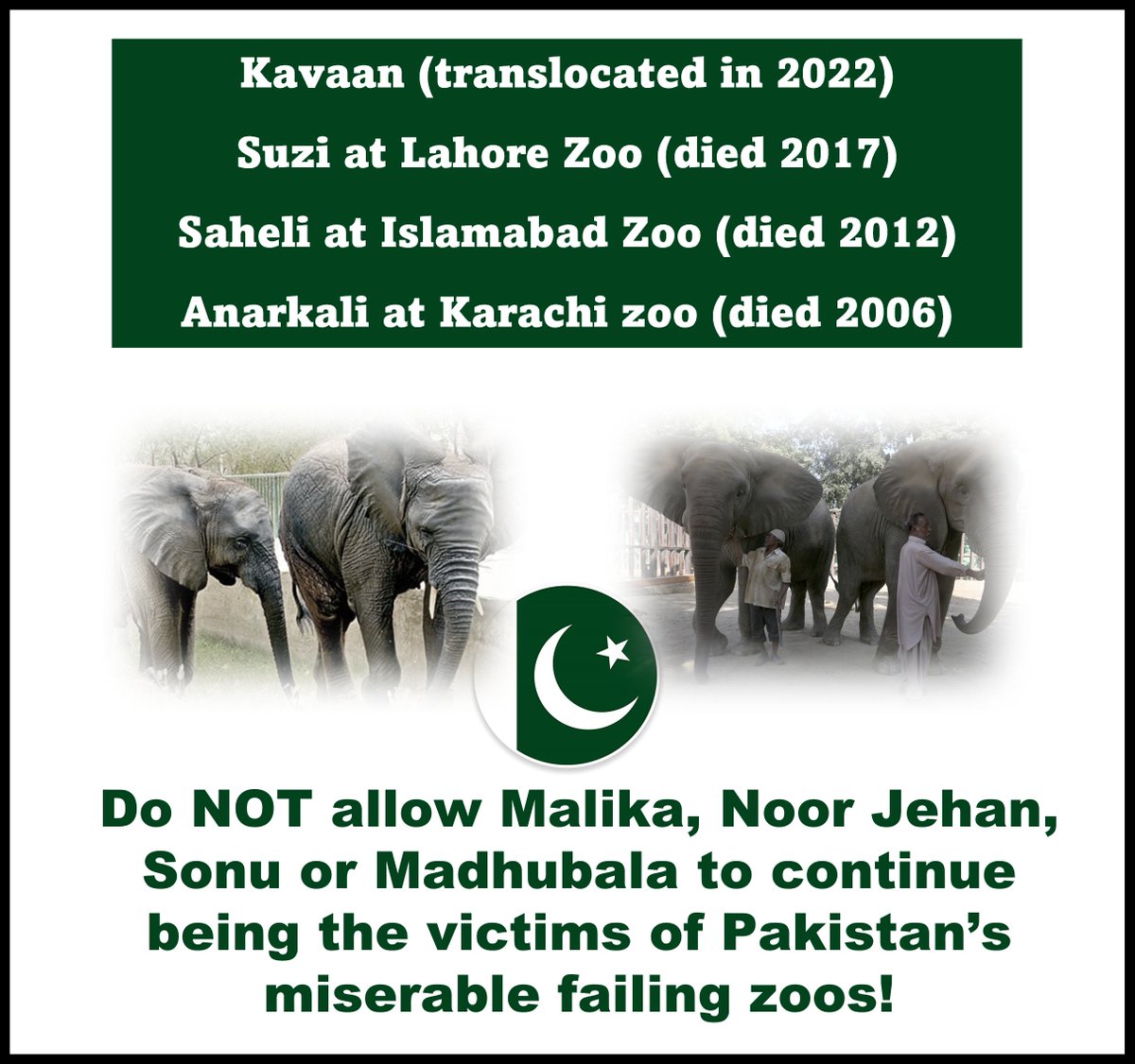 A legacy of failure! NO MORE 🐘 VICTIMS❗️#SanctuaryLife #Sanctuary4Karachi4 #AgonyOfNoorJehan 💔🐘💔 #KarachiZoo #Pakistan 🇵🇰🙏🏽 #CloseKarachiZoo ⛔️ @BBhuttoZardari @AseefaBZ @AAliZardari @sherryrehman @BakhtawarBZ @ArifAlvi @_AnimalAdvocate @fourpawsint