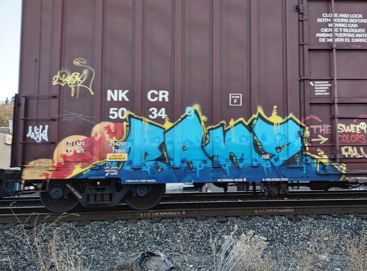 GraffitiExpress's tweet image. banz 
#kamloops #train #graffiti #art 
#banz