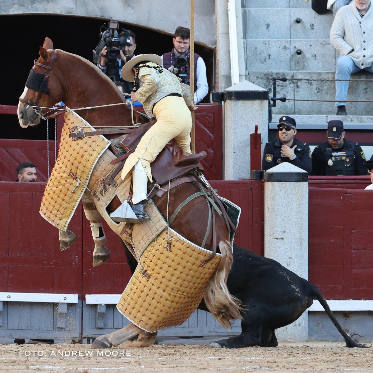 Qué poco se ven estas estampas en la actualidad. Un toro con los cuartos traseros apoyados en el suelo por la fuerza con la que romanea y recarga. Ayer lo pudimos ver en Madrid. Por esto y mucho más, ¡larga vida a Cuadri! 📸<a href="/andrewmoore100/">Andrew Moore</a>