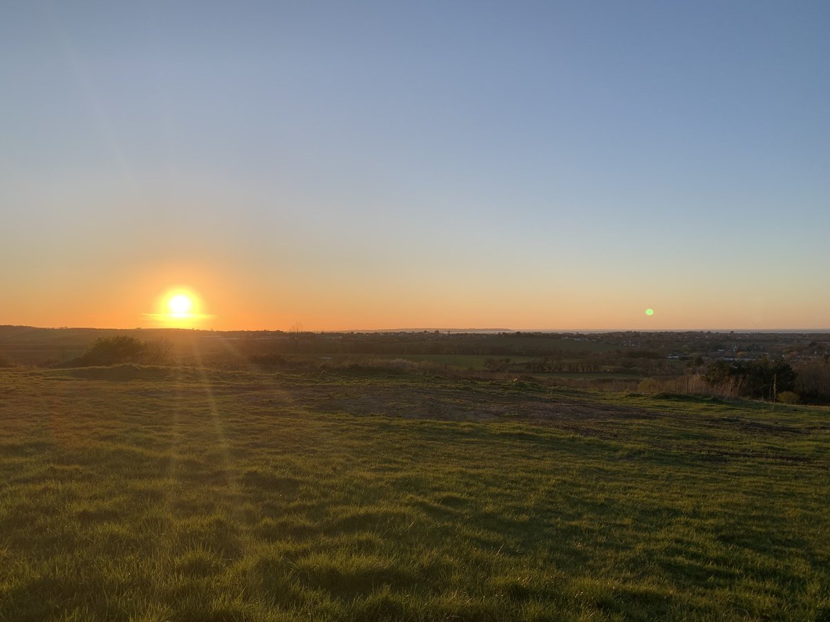 Andrew Thorns tweet media