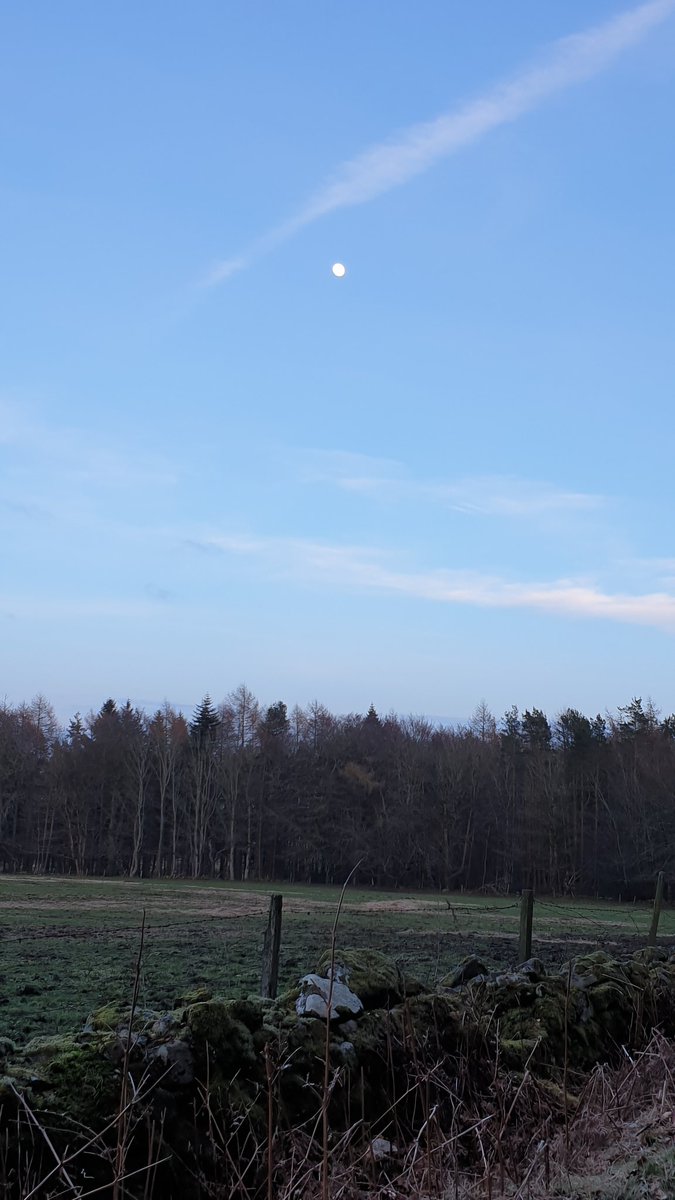 KirstySabina's tweet photo. Lovely way to finish the first day of holidays. A chilly but beautiful walk while is riding. So glad the lighter nights are back.
#walk #outside #outdoors #lighternights https://t.co/MAiVeKQf1X
