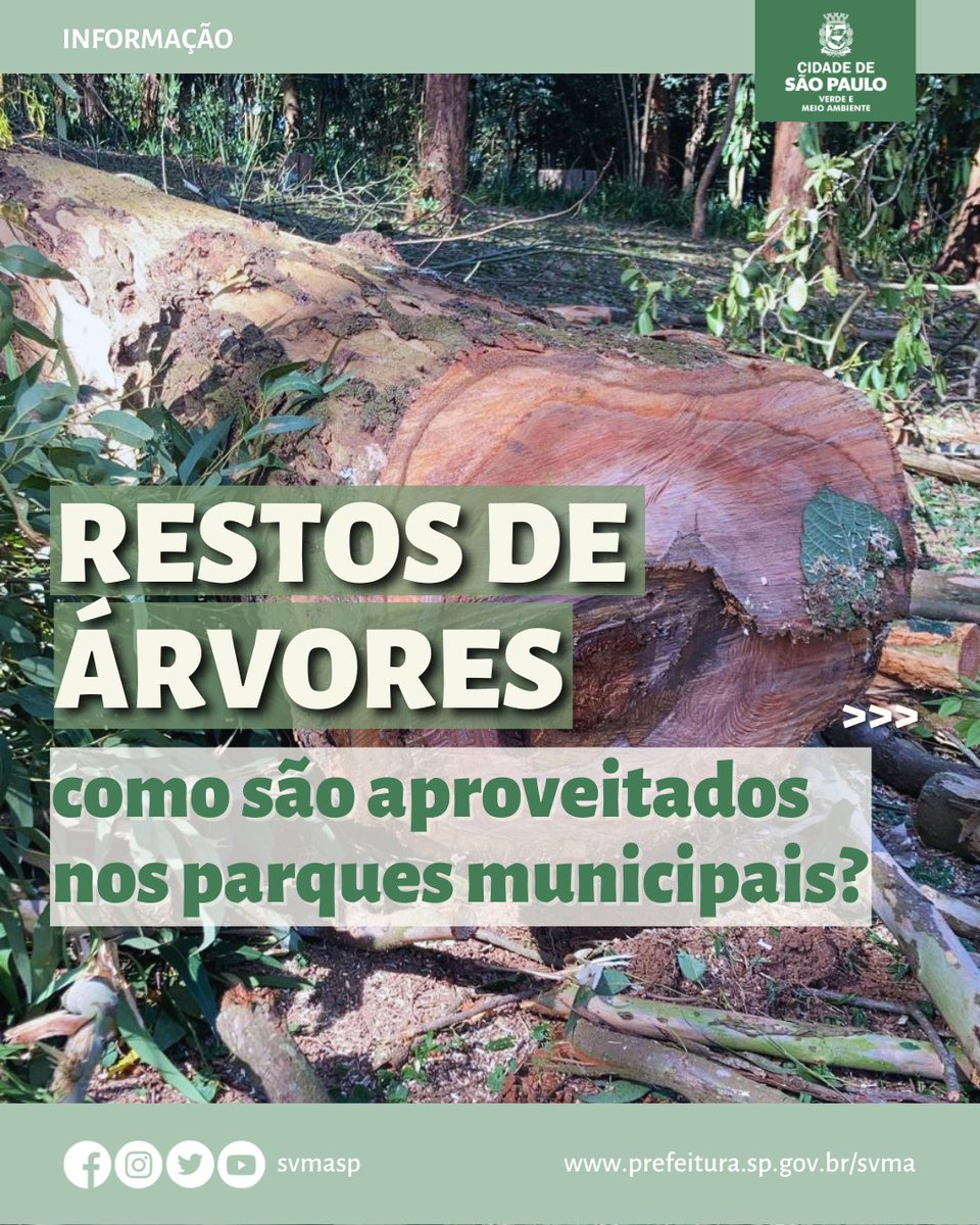 svmasp's tweet photo. Como a SVMA faz o reaproveitamento de podas de árvores:
- Placas de sinalização dos parques;
- Mobiliário para parquinhos infantis;
- Esculturas realizadas por artistas voluntários;
- Mobiliários como bancos, escadas, contenção de canteiros e trilhas
#svma #parquessp #arvores https://t.co/ChQG7AuWPH