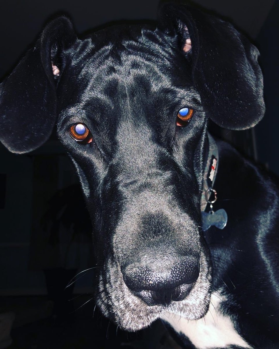 Happy #meetmemonday! I’m Jennifer Mart-Rice, Assistant Director for Access &amp; Collections, and I’ve been at the Law Library for a year. I’m a mid-morning person, coffee lover, and avid baker. I like true crime podcasts and live music, especially funk rock with a little jazz.