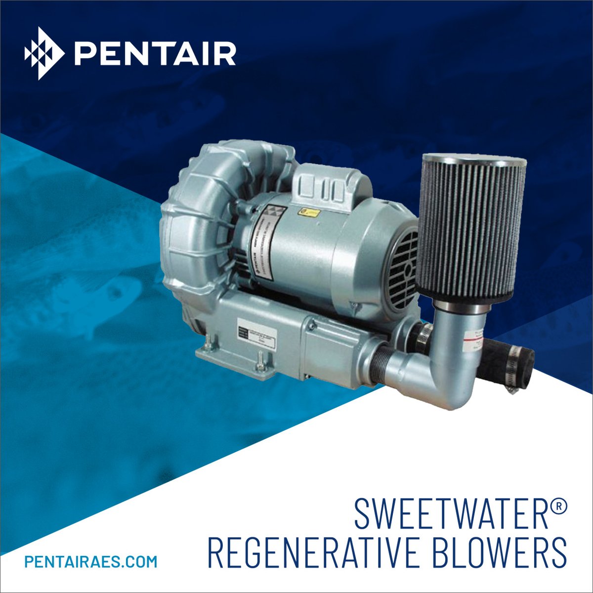 Looking for high-pressure, low-noise #blowers for corrosive #environments? Pentair's Sweetwater Regenerative Blowers deliver oil-free #air with energy #efficiency and cost-effectiveness, outperforming industry standards.

SHOP NOW: bit.ly/35wUZaJ