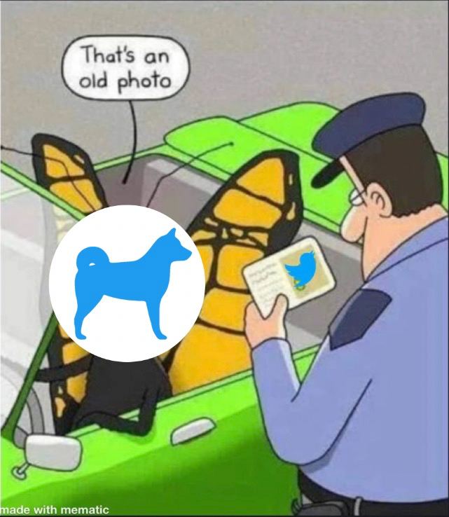 DOGGER - THE HOME OF CRYPTO tweet media