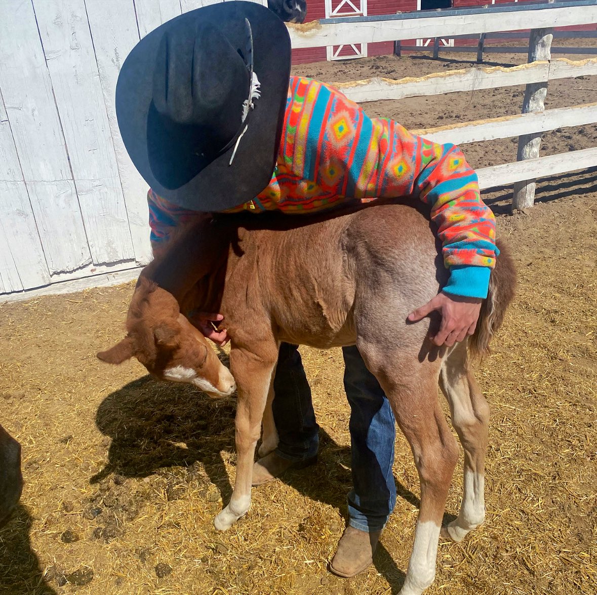 Loftus Livestock LLC tweet media