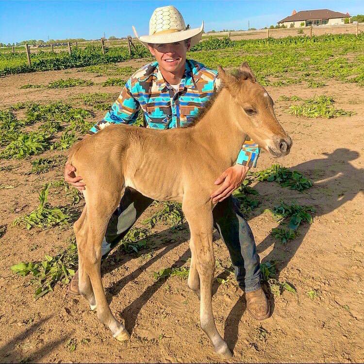 Loftus Livestock LLC tweet media