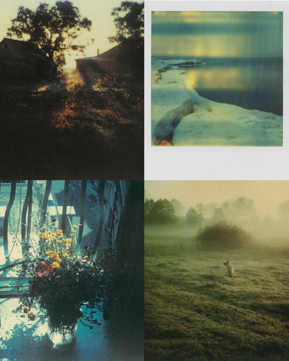 polaroids by andrei tarkovsky