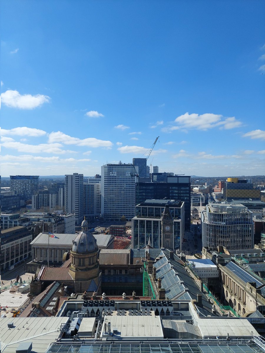 Serena Gough tweet media