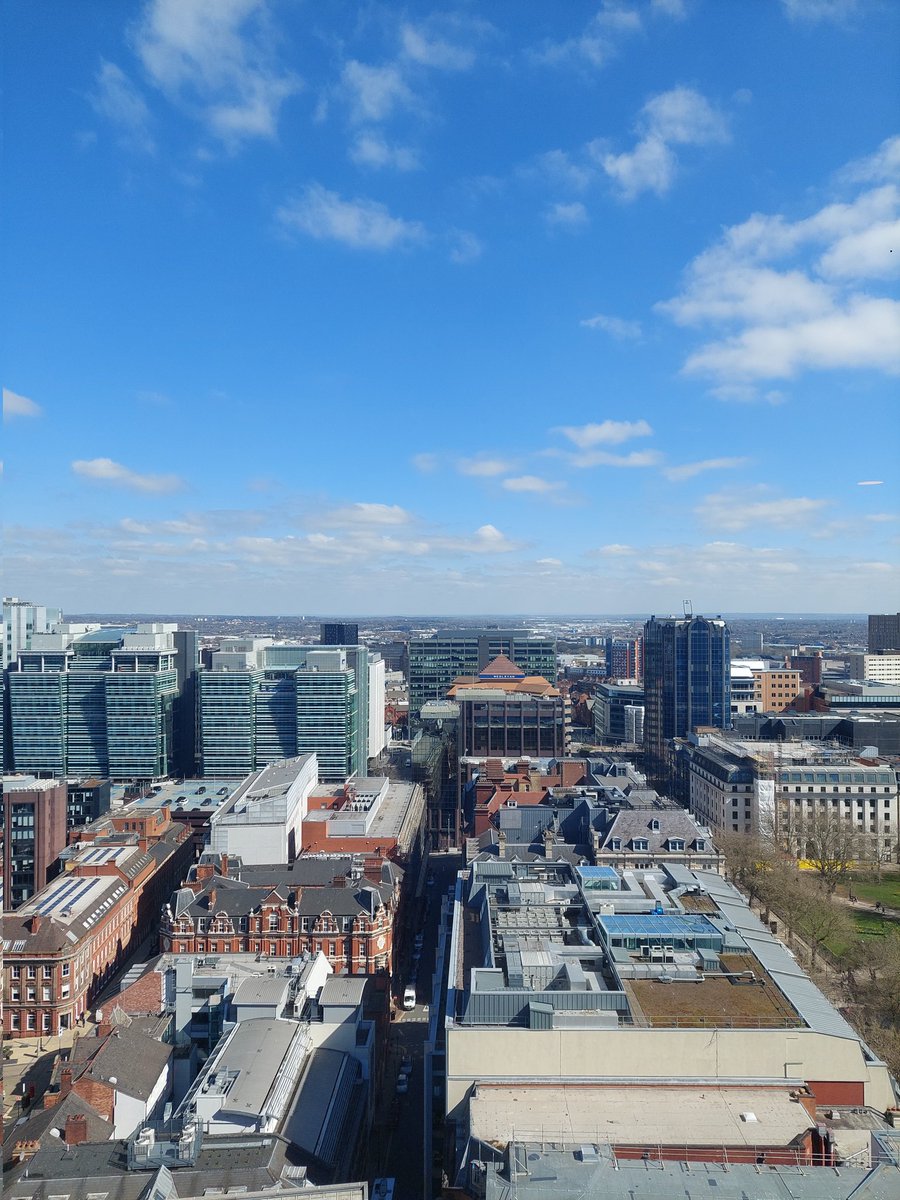 Serena Gough tweet media