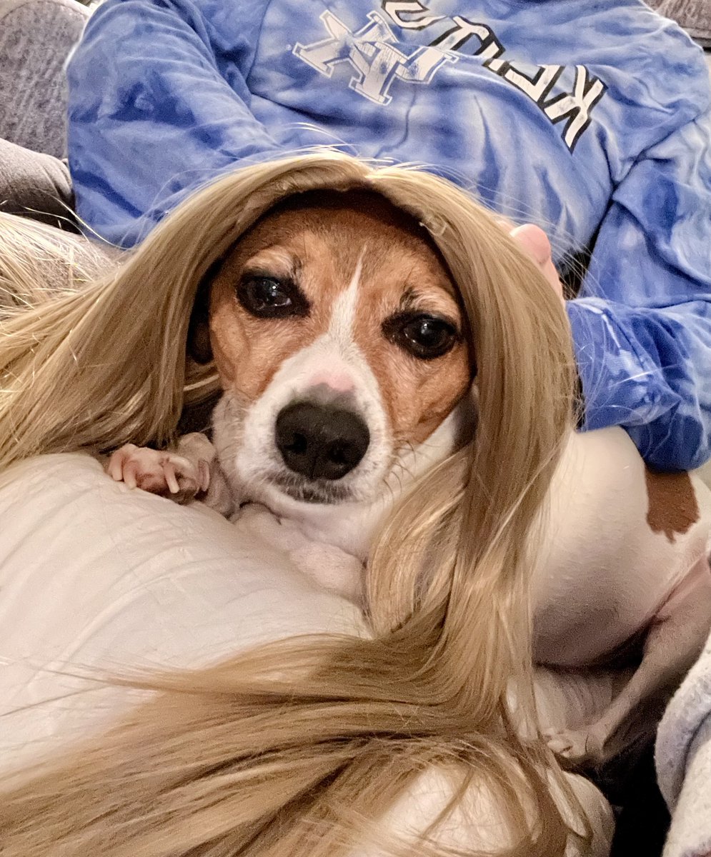 RLHofficial's tweet image. Everyone else has hair extensions! 😂 #goodsport