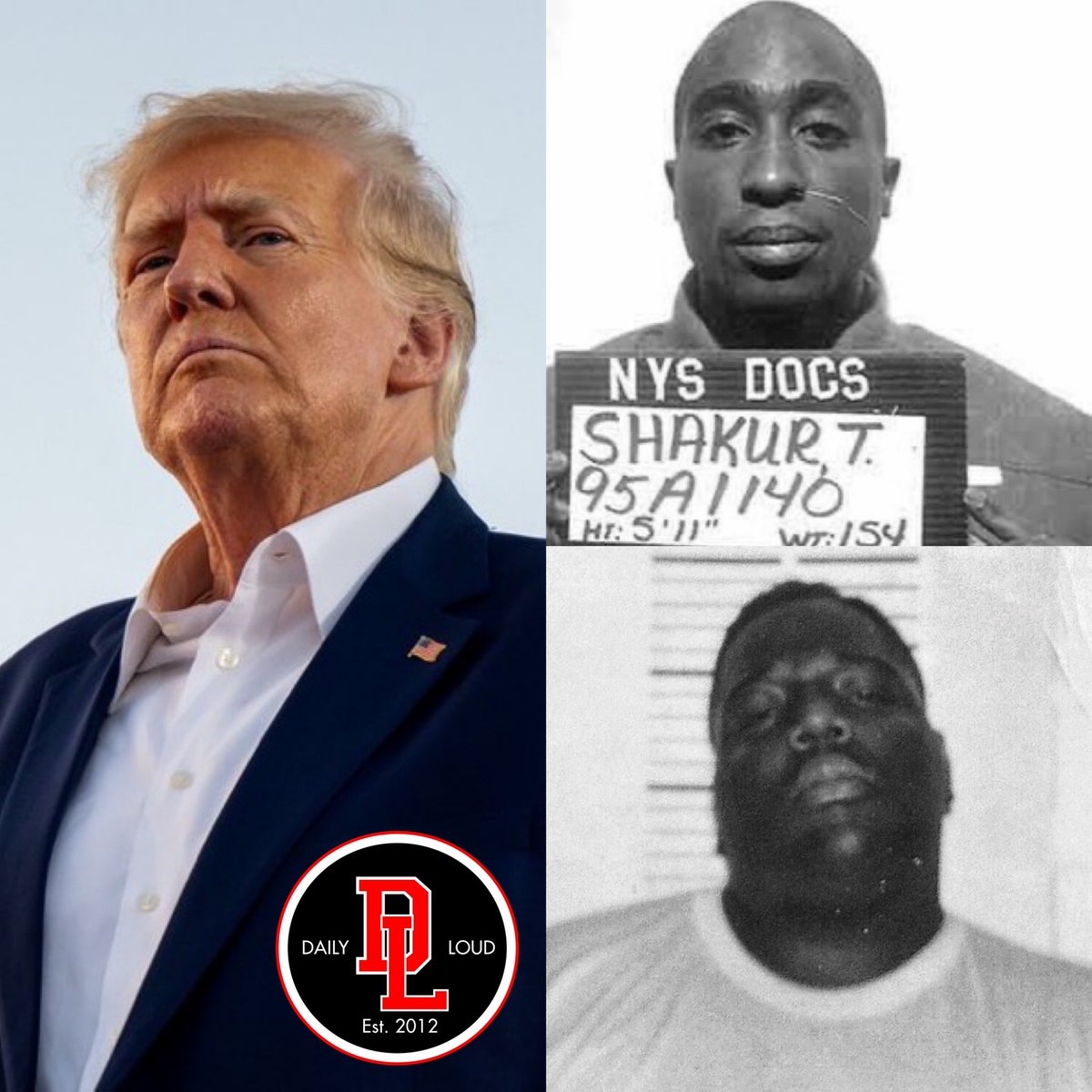 Daily Loud tweet media