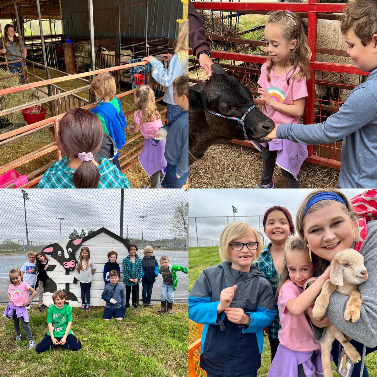 Rachel Jackson tweet media