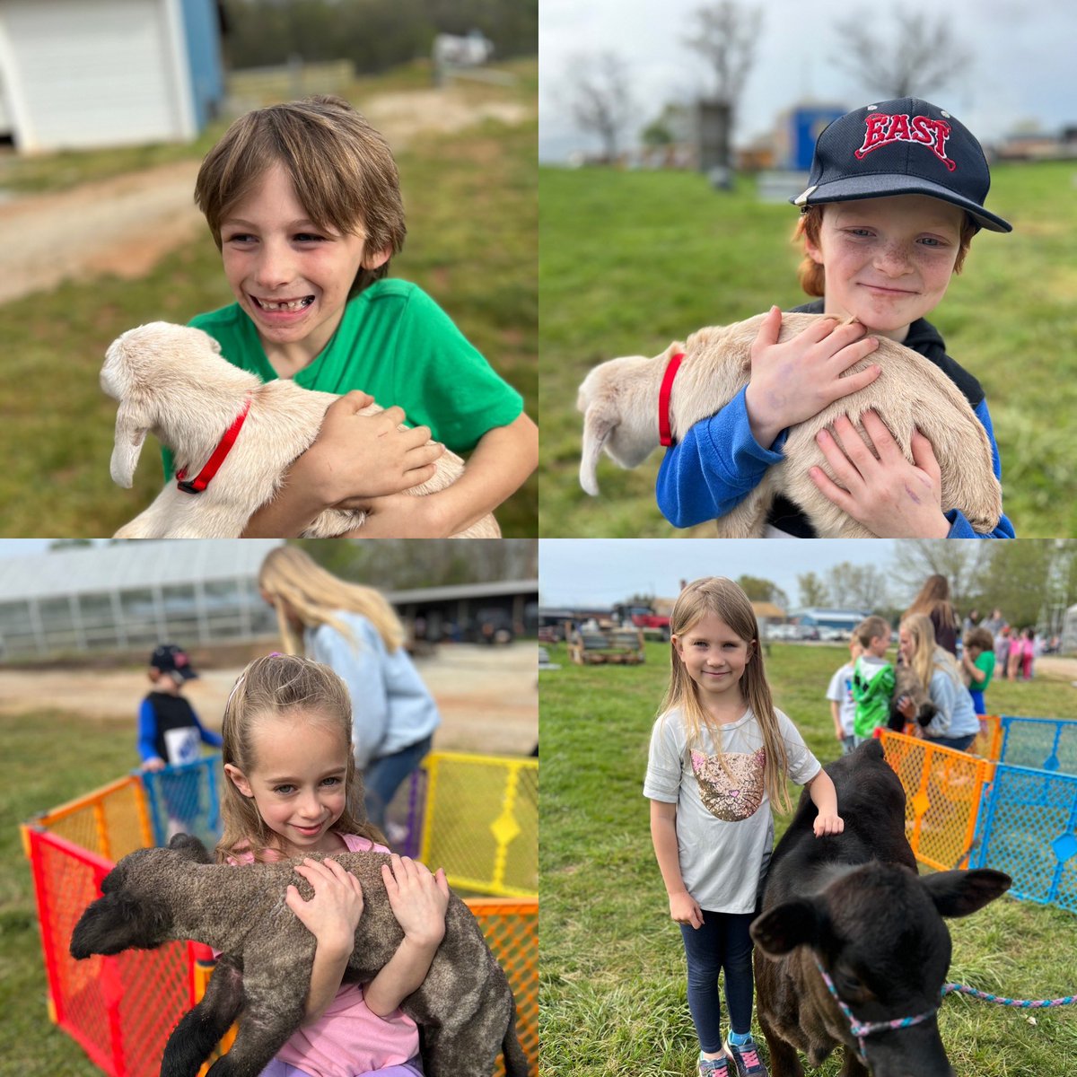 Rachel Jackson tweet media