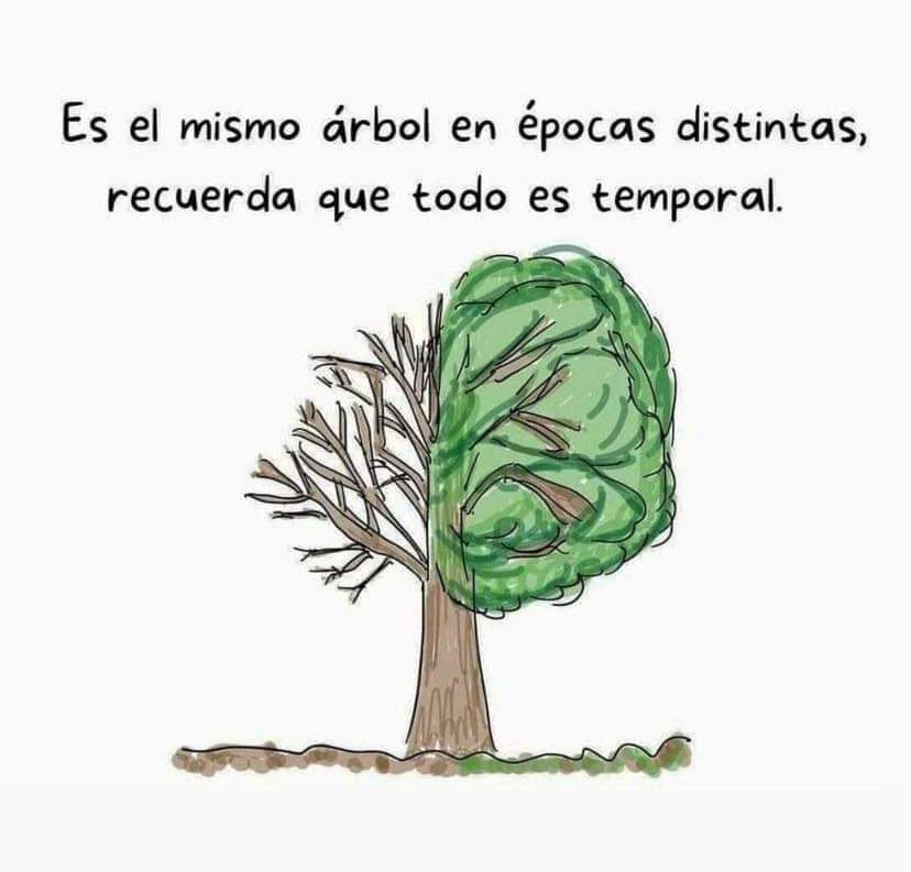 Mentes Brillantes (@marisol27960701) on Twitter photo 