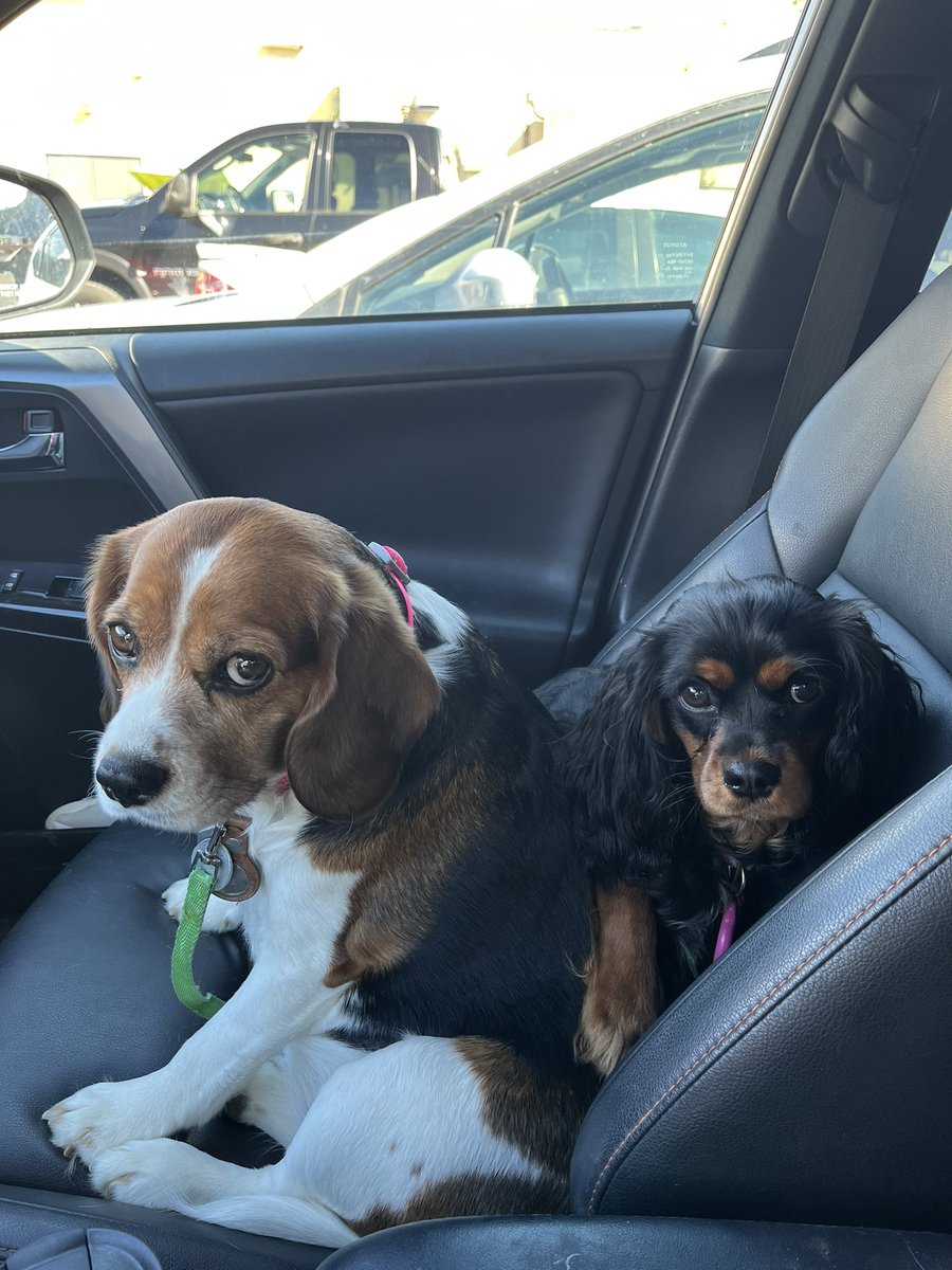 The look of dread for Mondays 😂