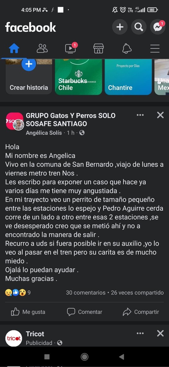 makosot's tweet photo. @EFENos_ Dicen que anda un cachorro en las lineas de tren entre lo espejo y pedro aguirre cerda , corriendo no puede salir https://t.co/dh8nD4Gpac