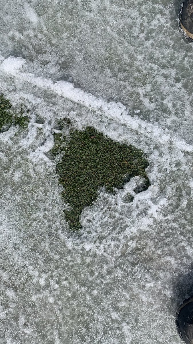 BrianOates12's tweet photo. Moving snow! Lots of it! https://t.co/R5vAKX0Rcl