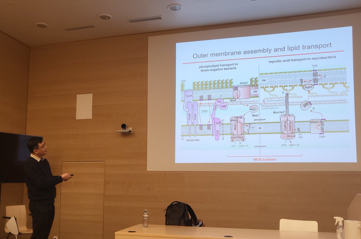 Kimberly Kline 🏔 (@kimingeneva) on Twitter photo #SGBUG in Geneva! So great to hear the latest from <a href="/Figlegend/">Shu-Sin Chng</a> and his awesome team at <a href="/MIMOL_UNIGE/">MIMOL_UNIGE</a> today. #SGBUG in Geneva! So great to hear the latest from <a href="/Figlegend/">Shu-Sin Chng</a> and his awesome team at <a href="/MIMOL_UNIGE/">MIMOL_UNIGE</a> today.