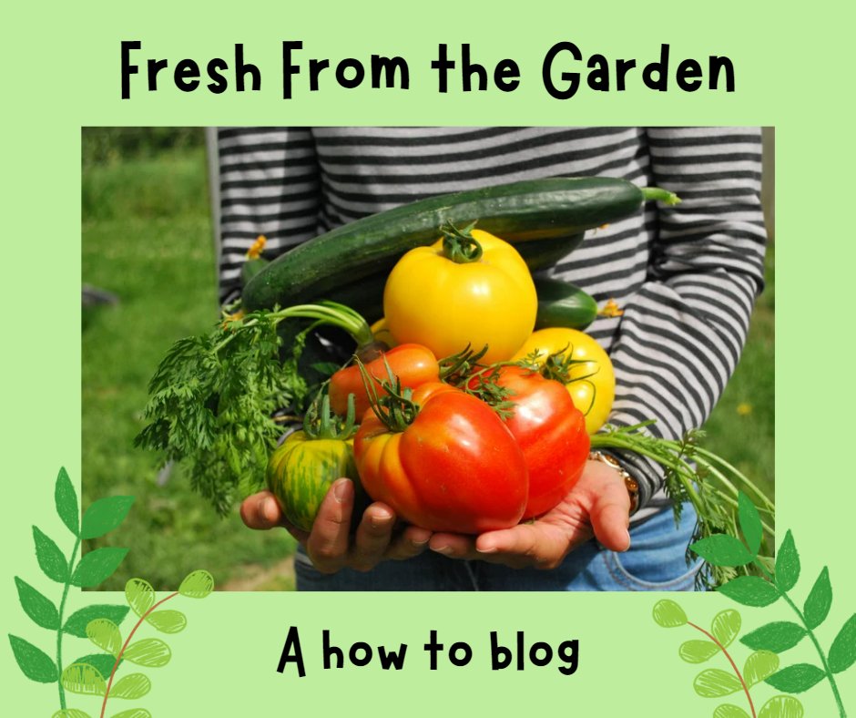 The new blog post explores companion planting and provides tips for maximizing your garden's potential. Learn how to repel pests, improve soil health, and increase your harvest. #backyardgarden #smallfarm #gardening #sustainable #agriculture #plants