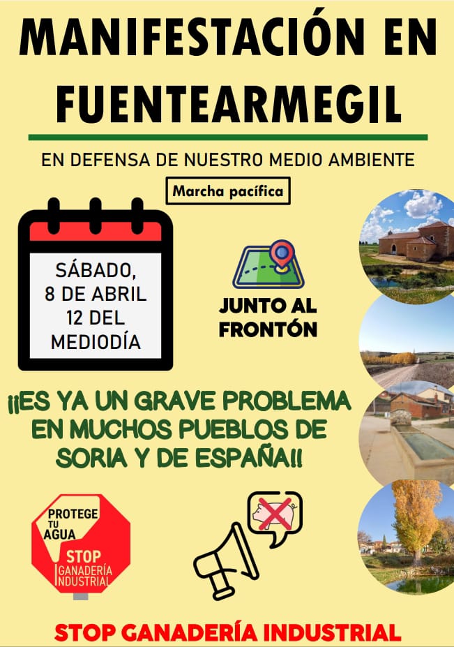 8 Abril - 12h en el Frontón de Fuentearmegil
Marcha pacífica por la preservación de nuestro entorno ¡ÚNETE! #StopMacrogranjaFuentearmegil #Fuentearmegil #Zayuelas #Santervas #Fuencaliente #Berzosa #Villalvaro #Soria