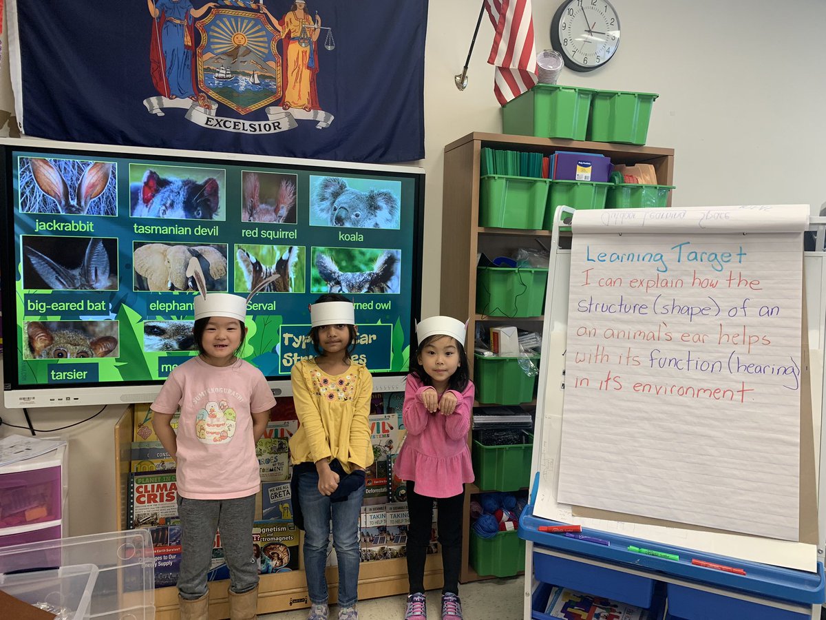 llombardi2009's tweet photo. Today in our PLTW Enrichment lesson with Mrs. Lamarca, we studied the structure and function of animal ears! Designs Inspired by Nature! @PLTWorg @DentonDucks @DentonAvenueAP #pltw #engineeranddesign https://t.co/sG87uk2ZS3