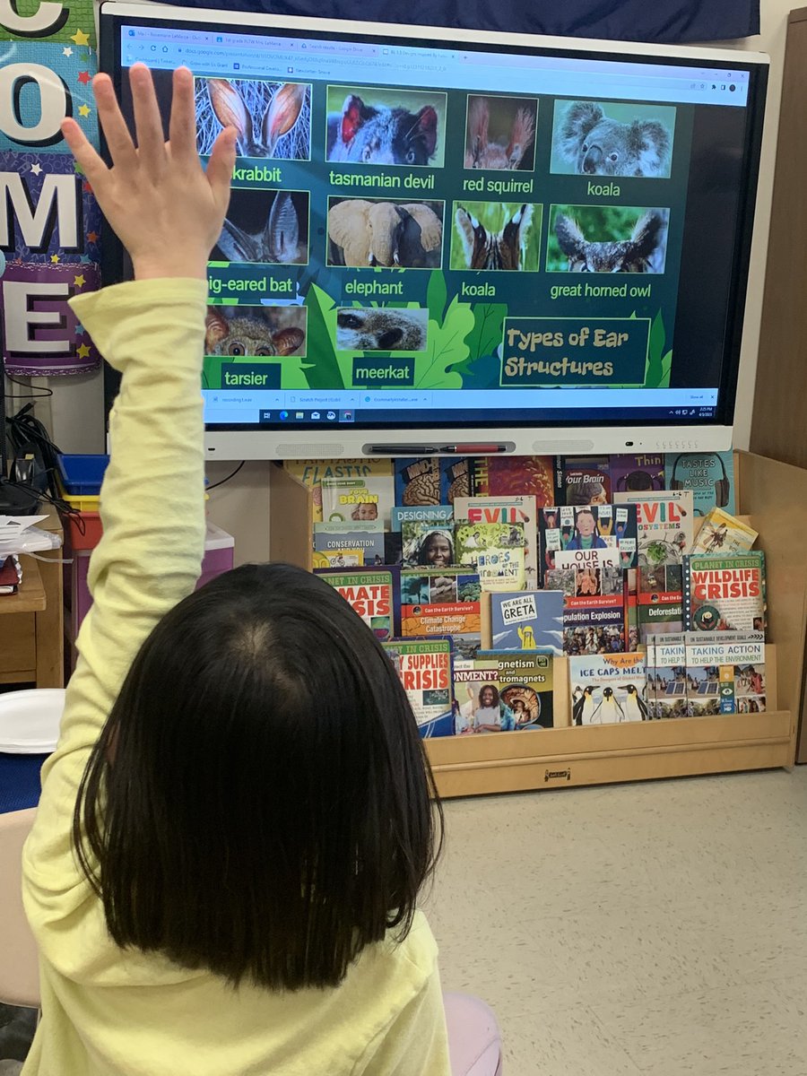llombardi2009's tweet photo. Today in our PLTW Enrichment lesson with Mrs. Lamarca, we studied the structure and function of animal ears! Designs Inspired by Nature! @PLTWorg @DentonDucks @DentonAvenueAP #pltw #engineeranddesign https://t.co/sG87uk2ZS3