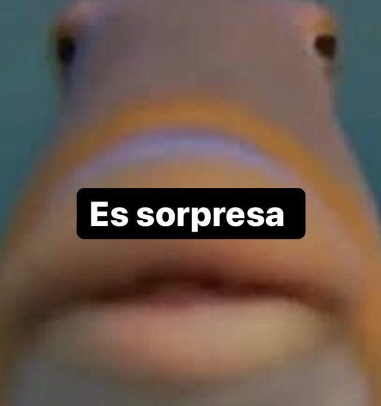 Guarromantico_'s tweet image. Yo cuando le compro algo a alguien.