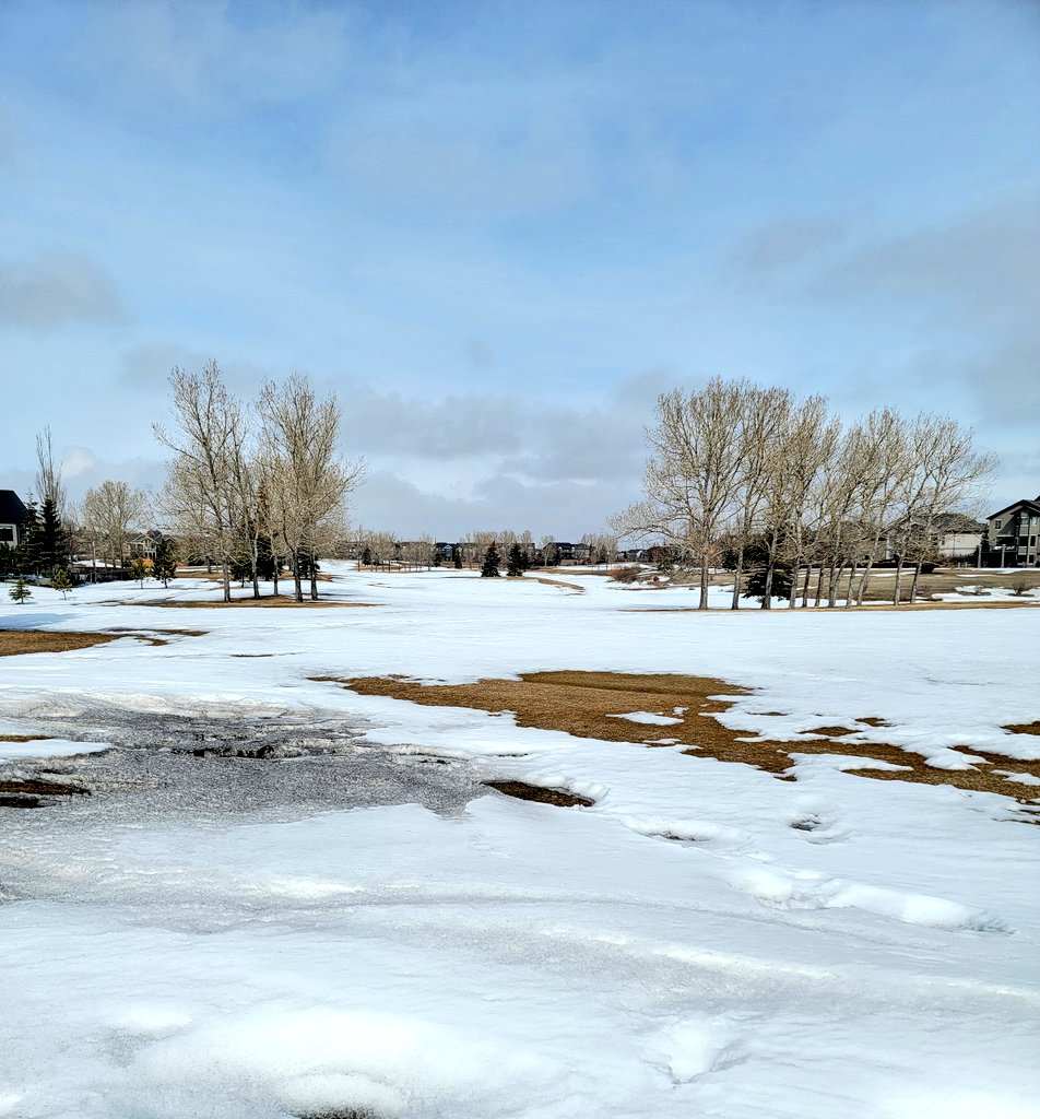 Might not be any snow in your backyard, but there's plenty in mine...