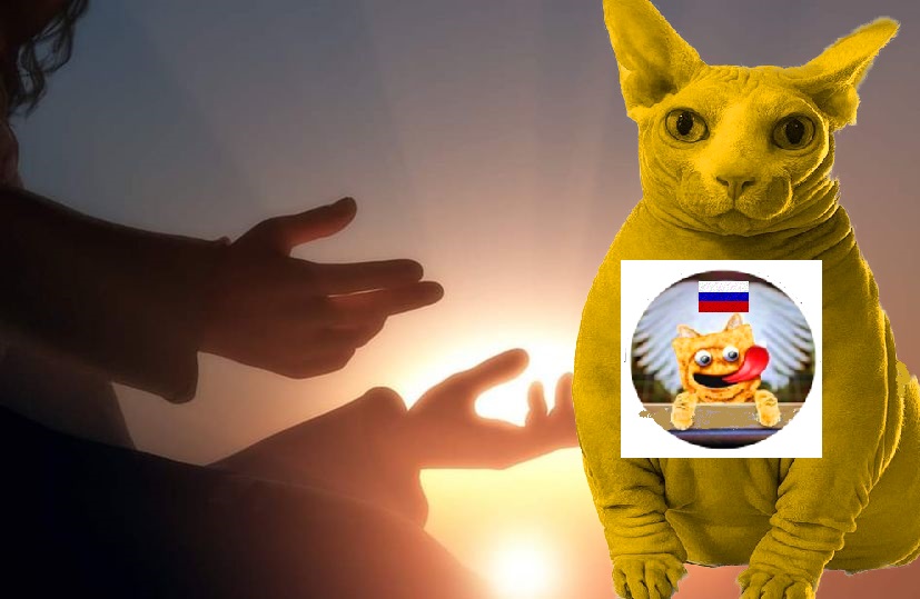 cLyppppersen tweet media