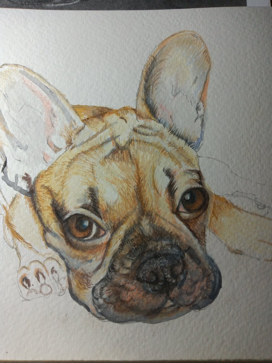 Persevering with this mixed media dog portrait #wip #Frenchie #Frenchbulldoglover #mixedmedia #petportrait #artist #drawing #HandmadeHour