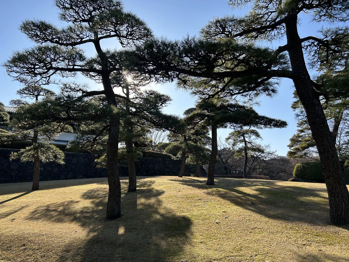 andreasschliep's tweet image. Without downloading any new pictures, describe your spirituality in one picture. 

#Pantheism