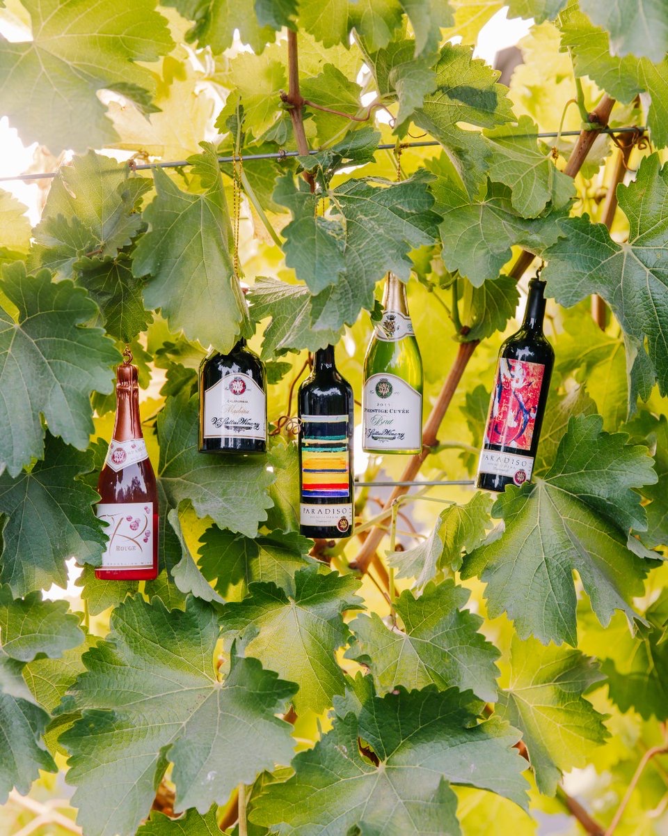 RT @vsattui: Ripe for the picking—a delectable selection of wines to stock up on for the spring and summer! Head online or stop by our winery and grab your seasonal sippers.🍷 

bit.ly/3JUw6um

#spring #springwines #vsattui #visitvsattui #vsattuiwinery