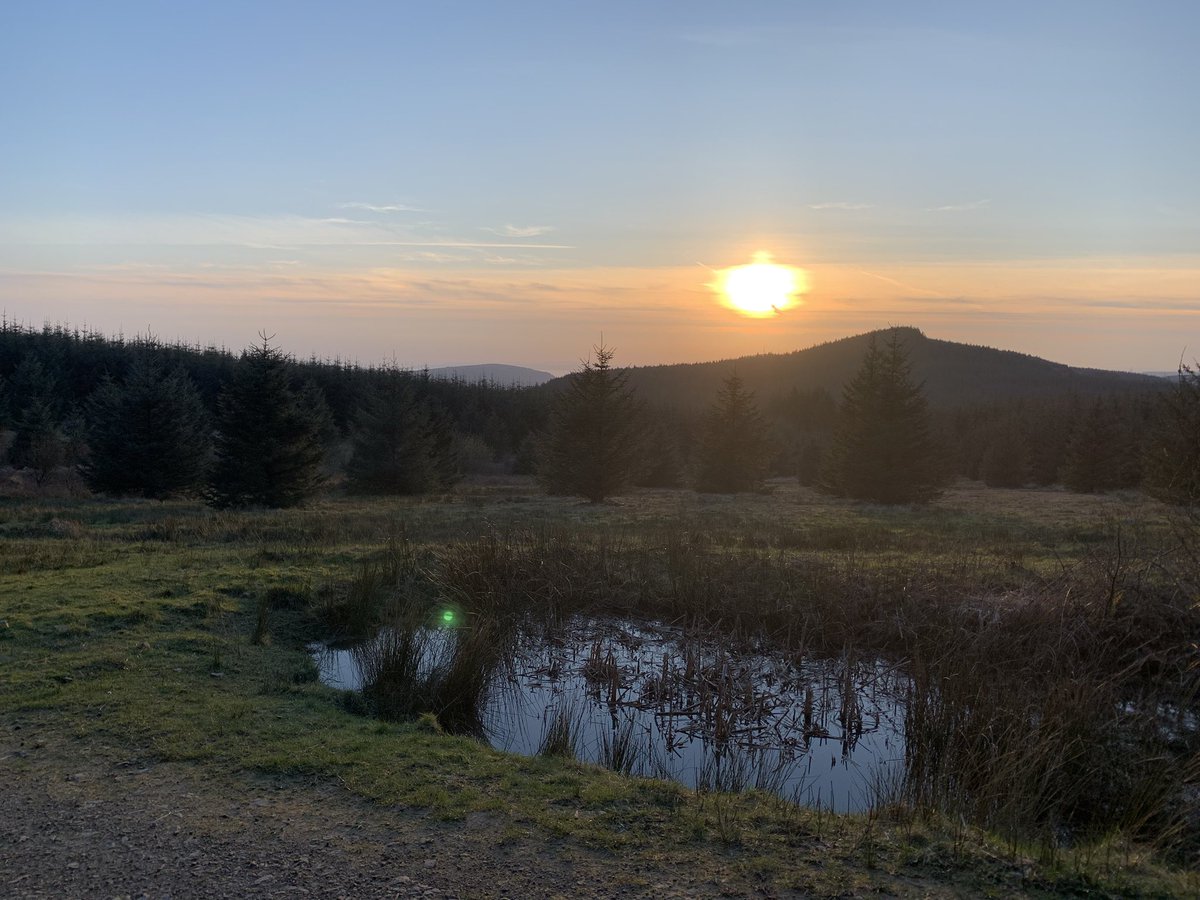 AndrewCarey13's tweet photo. Cracking hike up Maesteg tonight https://t.co/rJw5Uo7TpA
