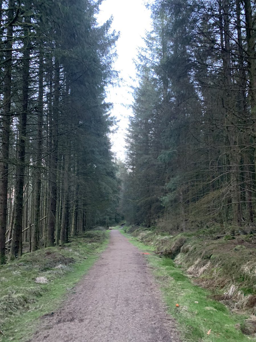 AndrewCarey13's tweet photo. Cracking hike up Maesteg tonight https://t.co/rJw5Uo7TpA