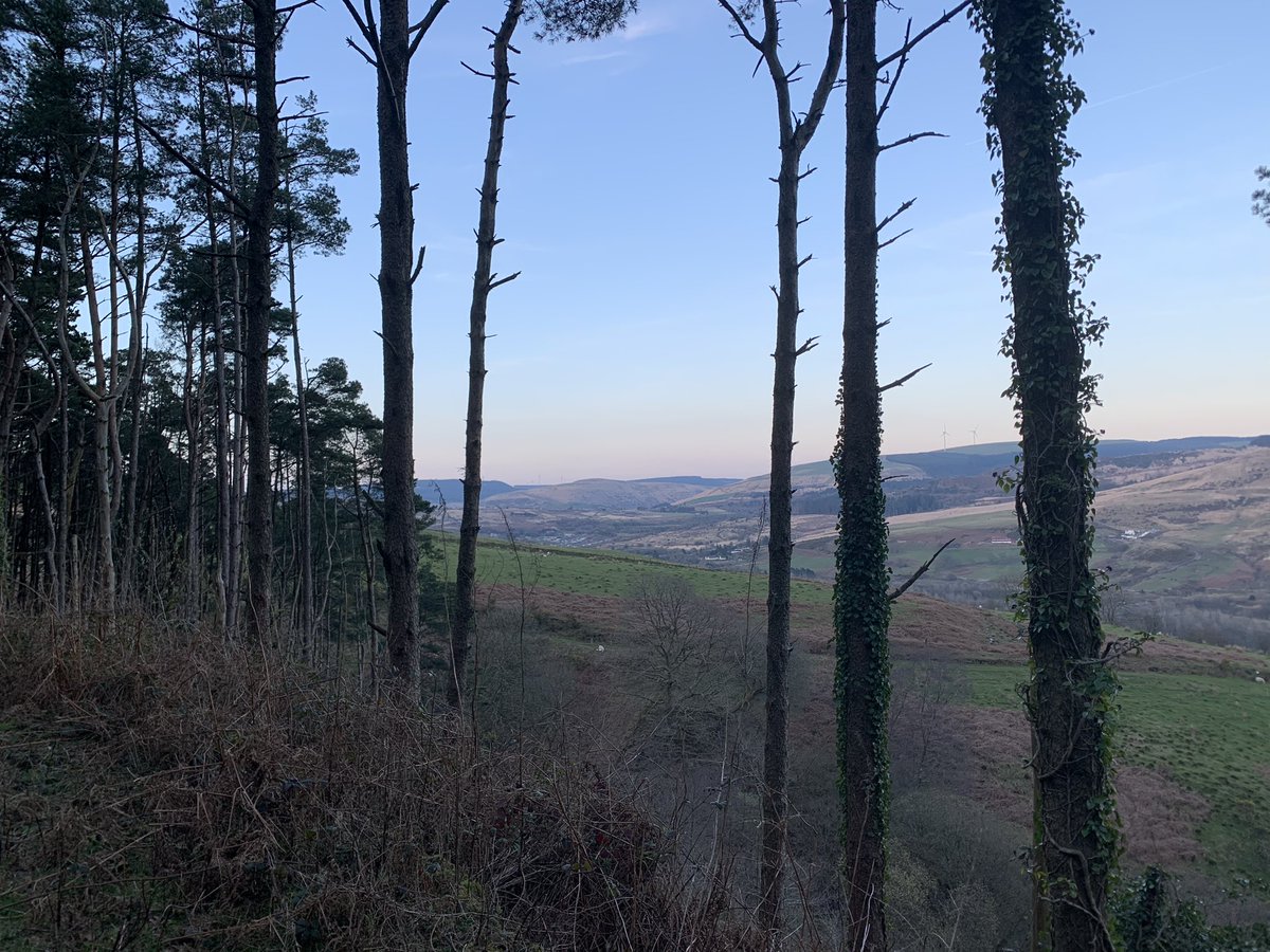 AndrewCarey13's tweet photo. Cracking hike up Maesteg tonight https://t.co/rJw5Uo7TpA