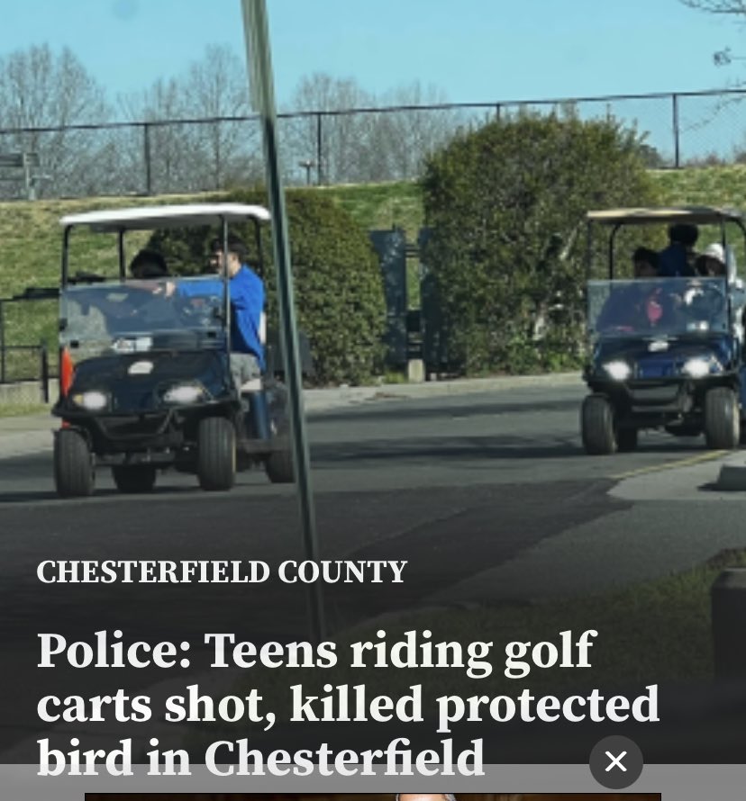 Bird? Not school children and staff? Outrageous!! Will Governor Young-Trumpkin send thoughts and prayers to the birds? Oh my God!!!! They are not even black!!!!  Will the liberals try to take away golf carts? Oh, the humanity!

wric.com/news/local-new…