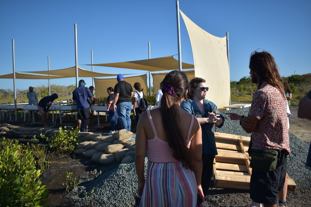 The Ocean Foundation tweet media