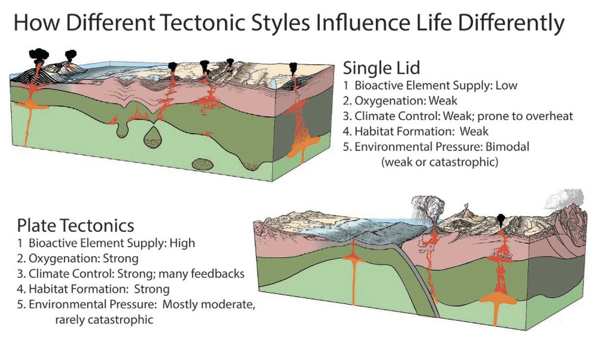 JoaoCDuarte's tweet photo. In Chapter 13, Robert Stern and Taras Gerya introduce the field of biogeodynamics and explore how different tectonic styles influence life.
https://t.co/emcAb2SOAA
#geology #tectonics https://t.co/QMpcSHrnD8