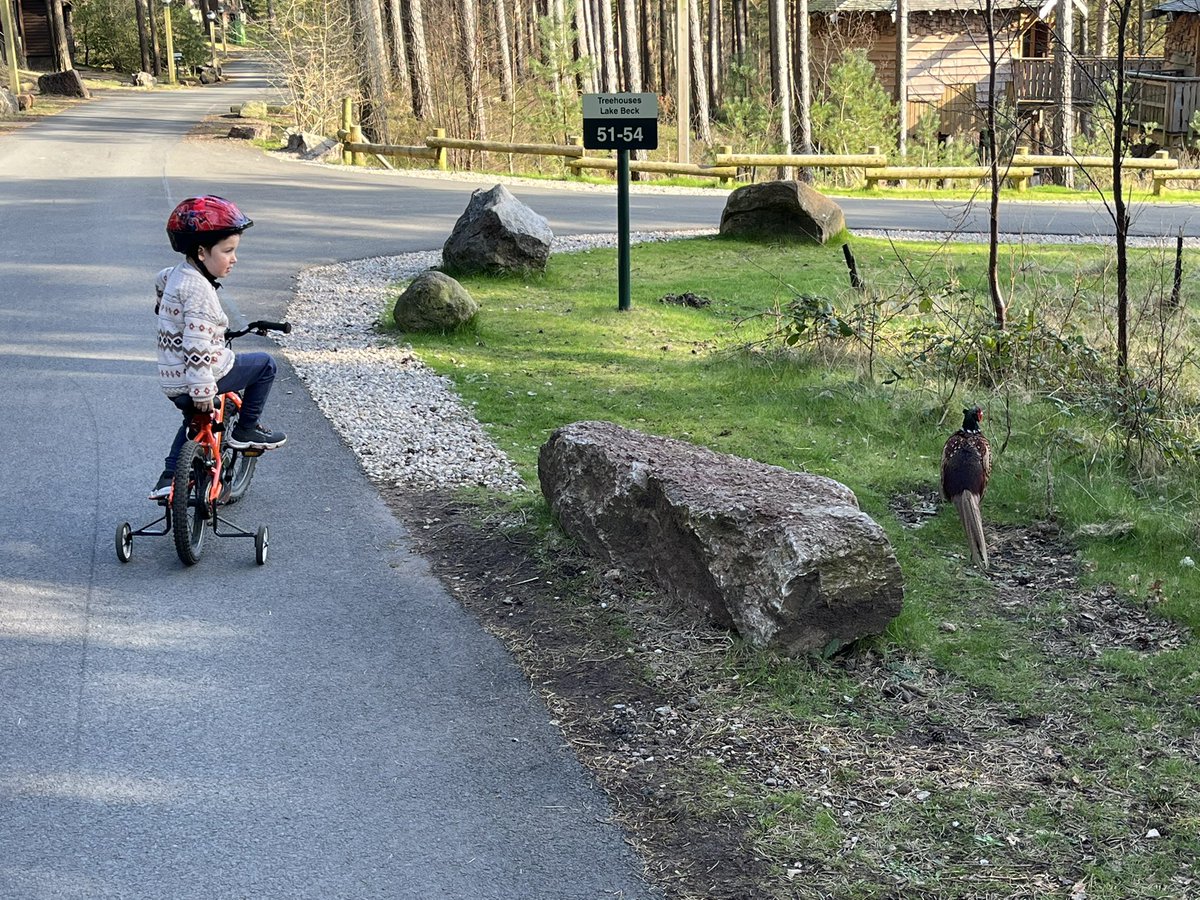 Ghutchie3's tweet photo. Love moments like this, happy and cycling and then stopping and being amazed by the wildlife. https://t.co/mbpLcdcixA
