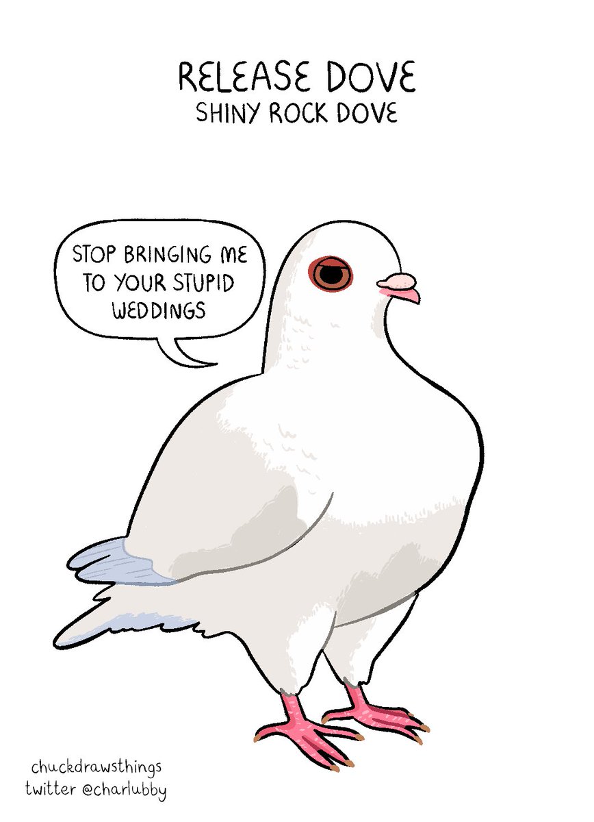 working on a zine of pigeon breeds, here's some friends so far 🐦 