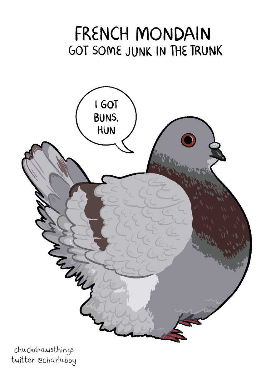working on a zine of pigeon breeds, here's some friends so far 🐦 