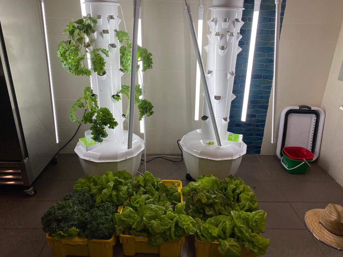 Spring 2023 Intern Highlights

Meet Gina! She is a fourth year undergrad majoring in plant science, planning to pursue research after college! This is her first semester interning on the farm! Gina loves learning about the hands on practical knowledge of what goes into farming!