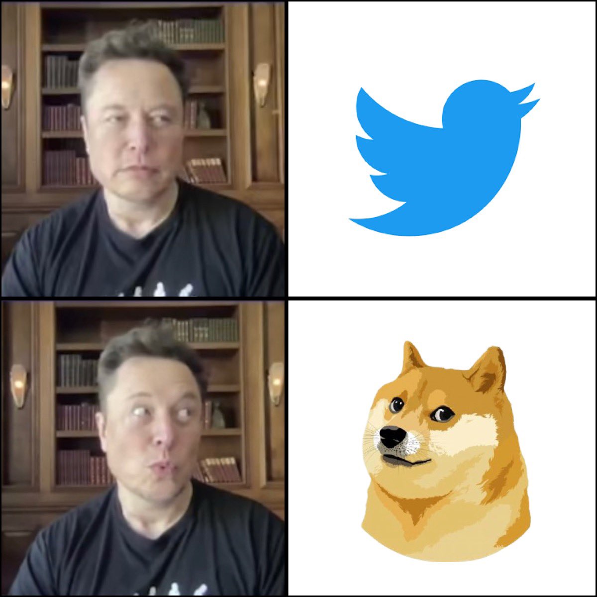 brizziiy's tweet photo. Much Wow @elonmusk https://t.co/Mhf20Xvw2Z