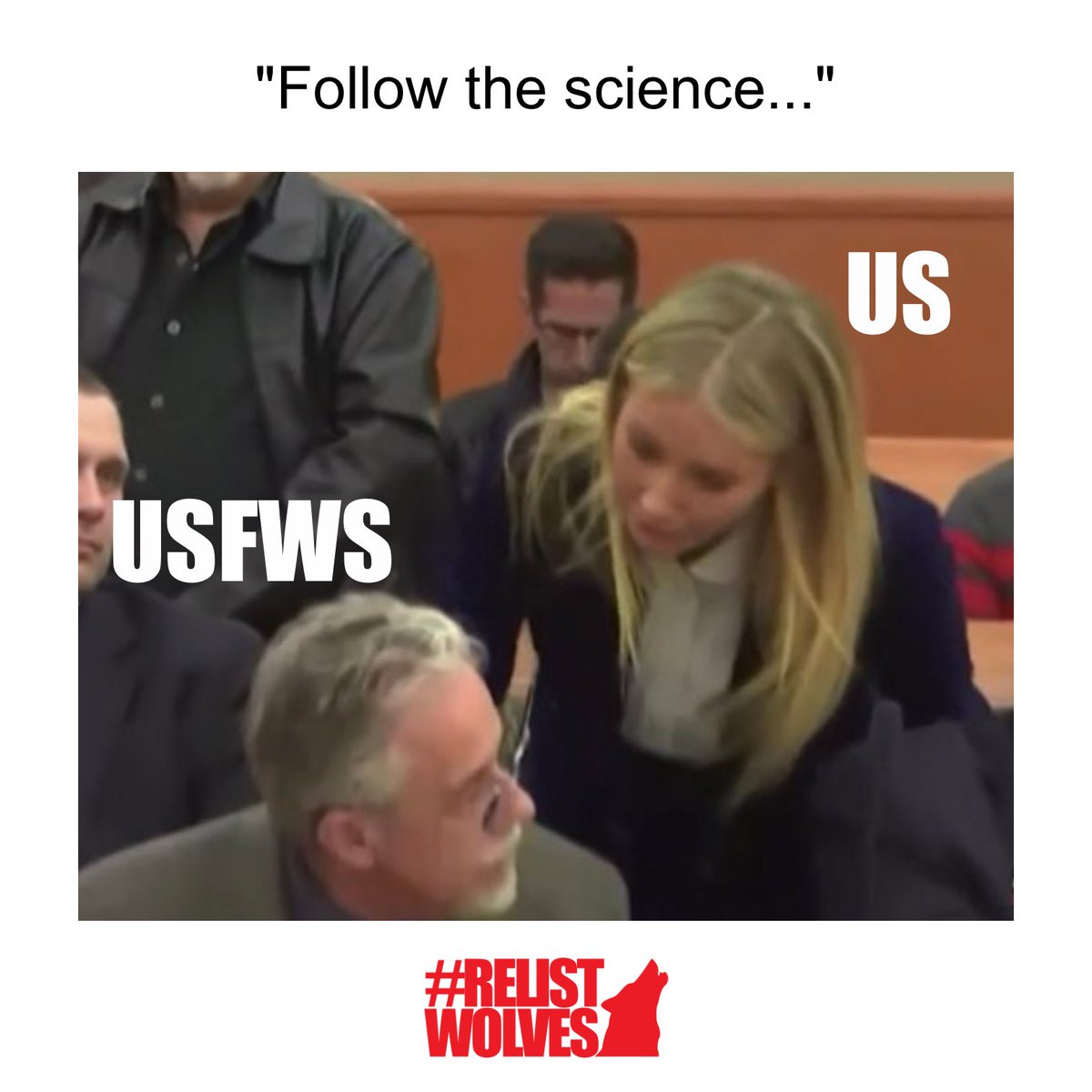 teamwolf_org's tweet image. Was everyone else as obsessed with this trial as us? Happy #MemeMonday!