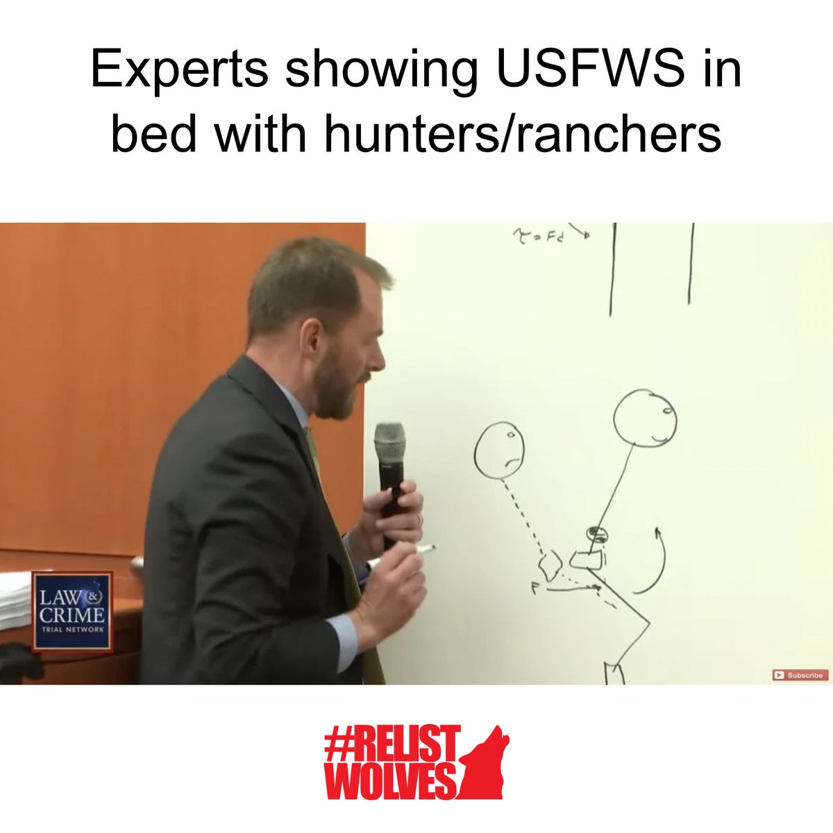 teamwolf_org's tweet image. Was everyone else as obsessed with this trial as us? Happy #MemeMonday!