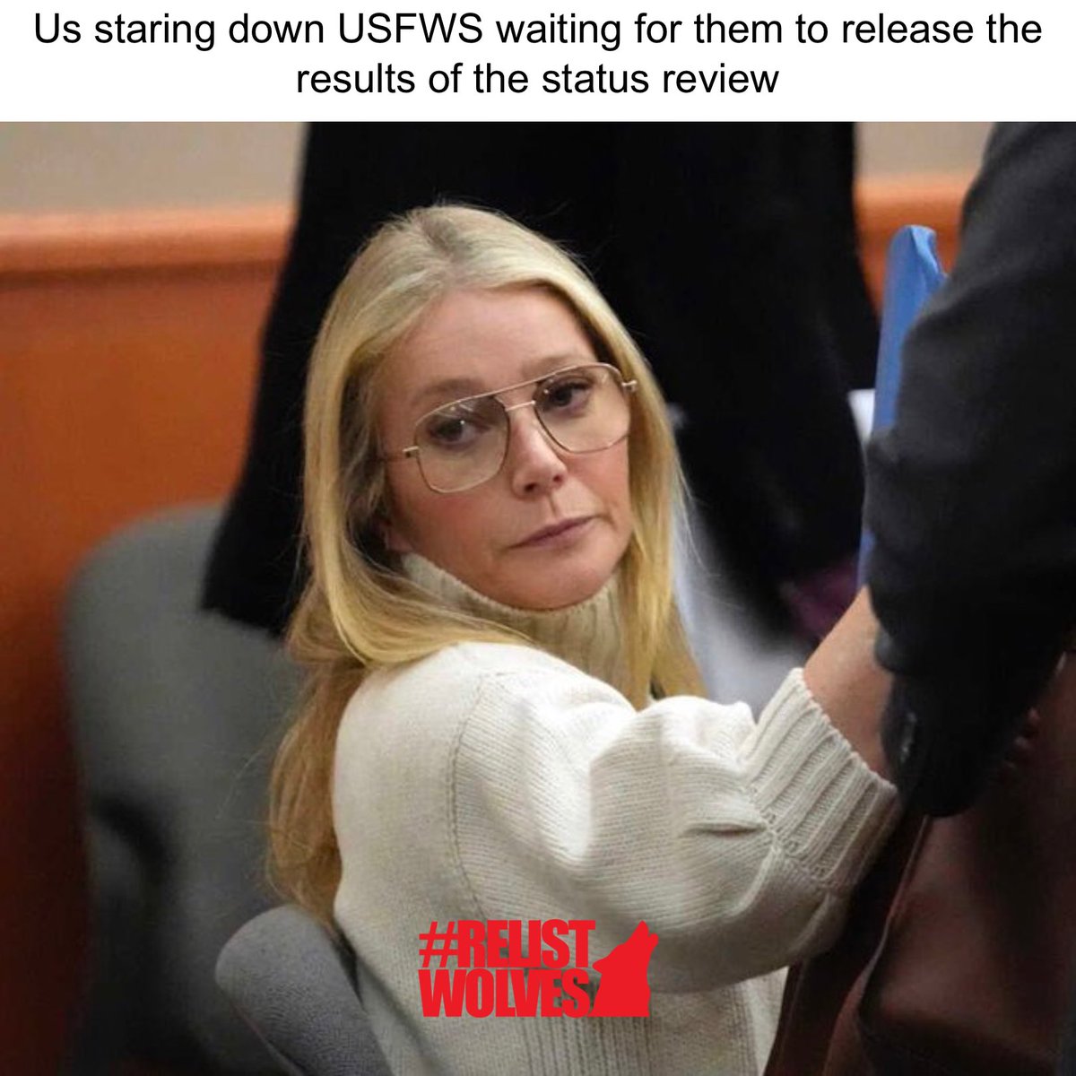 teamwolf_org's tweet image. Was everyone else as obsessed with this trial as us? Happy #MemeMonday!