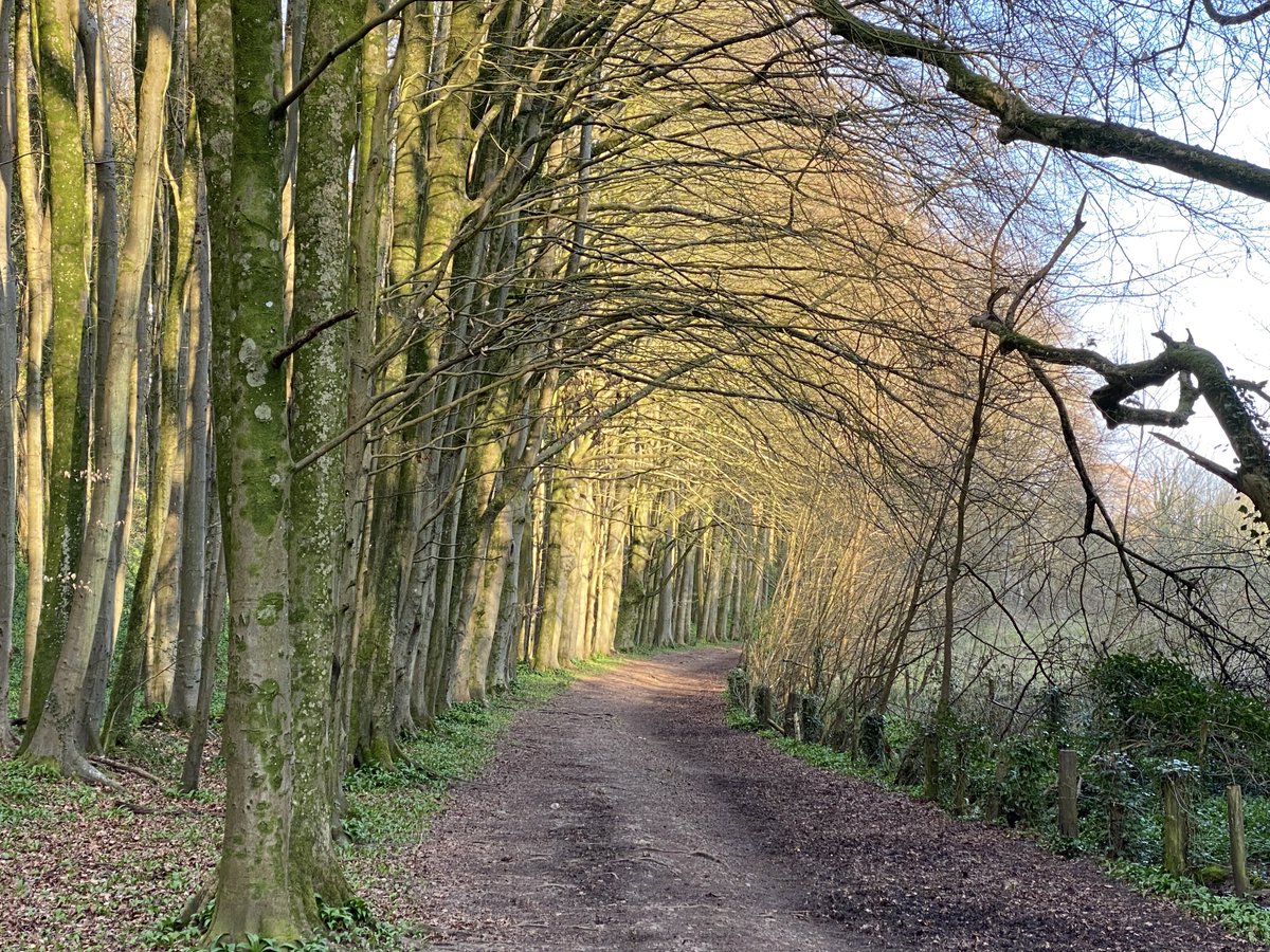 gkt_wales's tweet photo. We rambled past a wizened oak at Michaelston-le-Pit and then on to the βSalmon Leapsβ on the Wrinstone Brook. Then back through Coed Clwyd gwyn. Very pleasant in April sunshine βοΈ #Valewalks https://t.co/OTCVvPksGg