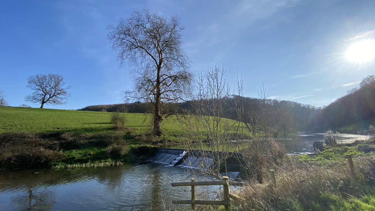 gkt_wales's tweet photo. We rambled past a wizened oak at Michaelston-le-Pit and then on to the βSalmon Leapsβ on the Wrinstone Brook. Then back through Coed Clwyd gwyn. Very pleasant in April sunshine βοΈ #Valewalks https://t.co/OTCVvPksGg